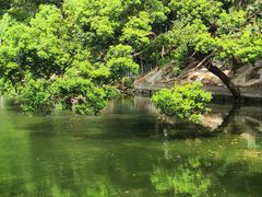 -人民公园(罗湖区)