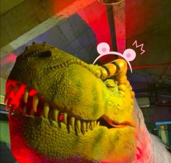 -恐龙探索乐园(磁器口店)