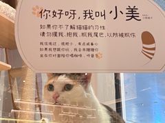 -黑胶星球(华发中城商都店)