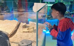 -七巧国萌宠乐园(龙湖天街店)