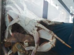 -宾朋海鲜特色美食餐厅·纯手工鲅鱼水饺(兴海路店)