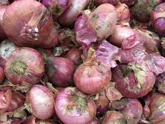 洋葱头-桐庐江南农贸市场