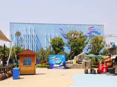 -芜湖新华联大白鲸海洋公园