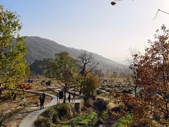 -塔川景区