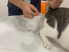 -佳雯宠物医院(四明中路分院)