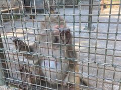 -南京金牛湖风景区