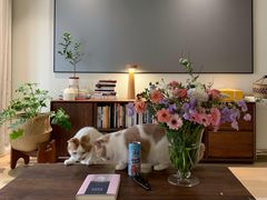 -住范儿家装·整体家装·装修设计