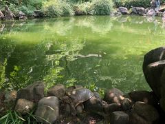 -杭州西湖风景名胜区-三生石
