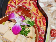 -贰回巷火锅馆(钟楼店)