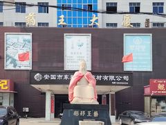 -药王庙(安国市)