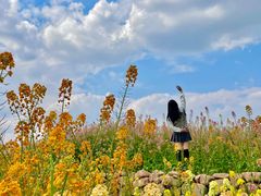 -三圣花乡旅游区