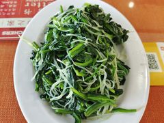 菠菜拌粉丝-教师之家赵家羊汤馆(东青龙街店)