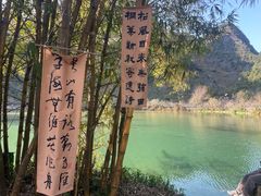 -靖西鹅泉风景区