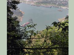 -铁山坪森林公园