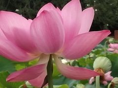 -黄兴公园