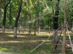 -长白岛森林公园