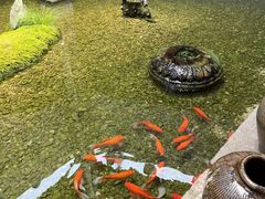 -几荷·恰似故人来(秀水广场店)