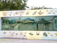 -秦皇岛乐岛海洋王国