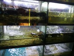 -桥东喜碧海鲜街(水东街店)