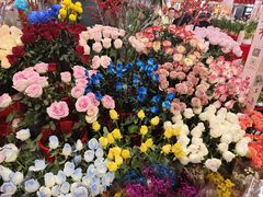 -越秀西湖花市(广州城市广场花卉店)