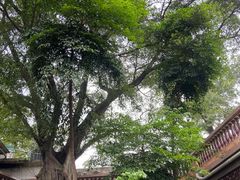 -南华寺素食馆(南华禅寺店)