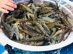 -王四营海鲜市场
