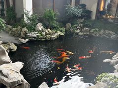 -鲤院·新中式美学·庭院餐厅(夫子庙店)