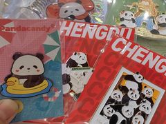 -轩客会(熊猫书店)