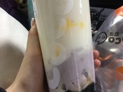 -CoCo都可(宝龙店)