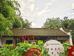 -广达眼镜炖罐(广达店)