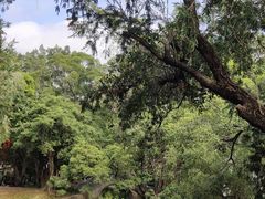 -人民公园(罗湖区)