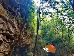 景点-九龙潭景区