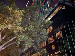 -广州天河希尔顿酒店