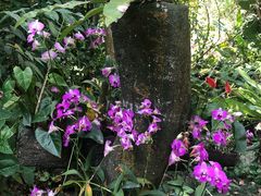 -呀诺达热带雨林