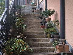 -灵隐飞来峰景区