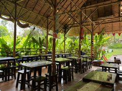 -大象粑粑造纸公园