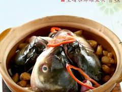 生啫水库雄鱼头-宜宾海鲜酒家·三十年老字号