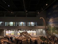 -自贡恐龙博物馆