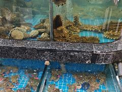 -渔码头食府(蓬莱阁店)