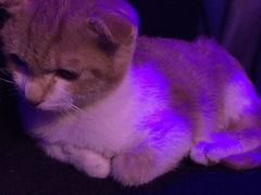 -星宿秘码(鼓浪屿老店)