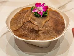 -清真军邺·金富苑肥牛(石坡街旗舰店)