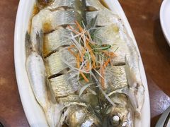 清蒸鲜白鱼-西新饭店(城中店)