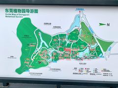 -东莞植物园
