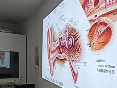 -自然之声助听器·呼吸机(康桥旗舰店)