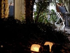 -J Create城市露营咖啡·简餐·宠物(上海动物园店)