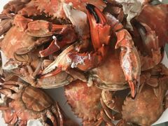 -常家活海鲜小吃(仅一家无分店)