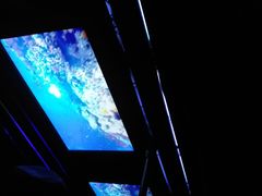 -海洋公园海洋列车－海滨站