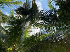 -深圳湾公园(南山区)