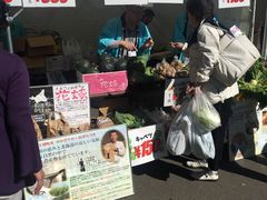 -北海道厅旧本厅舍(旧本庁舎)