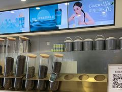 -雾与山茶(大禹城店)